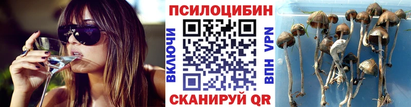 Псилоцибиновые грибы прущие грибы  Снежинск 