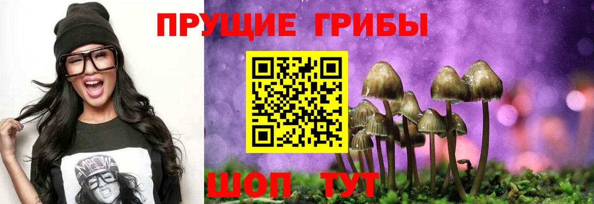 Псилоцибиновые грибы GOLDEN TEACHER  Галлюциногенные грибы Cubensis  Снежинск  Вход с VPN 